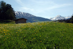 OOSTENRIJK, ZWITSERLAND, ITALIË