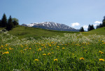OOSTENRIJK, ZWITSERLAND, ITALIË