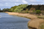 AMSTERDAMSE WATERLEIDING DUINEN