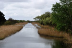 AMSTERDAMSE WATERLEIDING DUINEN