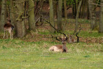 AMSTERDAMSE WATERLEIDING DUINEN