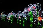 China Light Utrecht