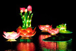 China Light Utrecht