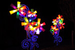 China Light Utrecht