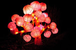 China Light Utrecht