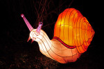 China Light Utrecht