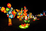 China Light Utrecht