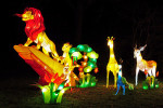 China Light Utrecht