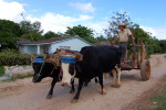 CUBA