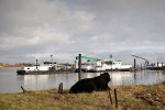 MILLINGEN, LANGS HET WATER