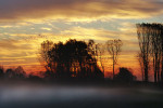 NATUUR