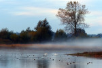 NATUUR