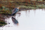 NATUUR