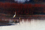 NATUUR