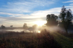 NATUUR