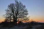 NATUUR