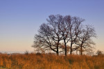 NATUUR