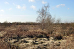 NATUUR