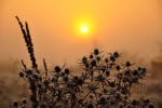 NATUUR
