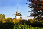 OOYPOLDER