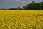 DÜFFELWARD