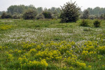 NATUUR