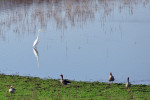 NATUUR