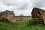 NATUUR