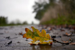 NATUUR