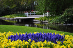 KEUKENHOF