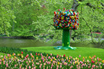 KEUKENHOF