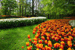 KEUKENHOF