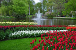 KEUKENHOF