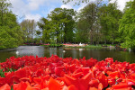 KEUKENHOF