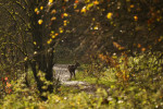 NATUUR