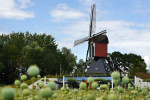 OOYPOLDER
