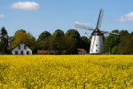 KEKERDOM