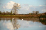 NATUUR