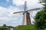 MOLEN DE KORENBLOEM DIDAM